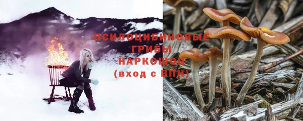 PSILOCYBIN Нея