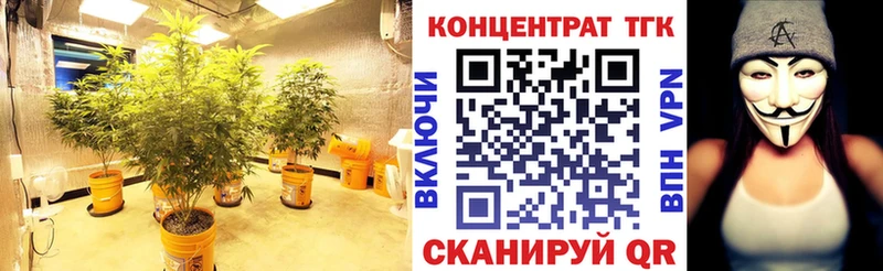 закладка Невельск Дистиллят ТГК концентрат